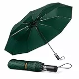TechRise Regenschirm Taschenschirm Sturmfest Groß -10 Rippen Windsicherer Sturm Taschenschirm Schirm, automatisch kompakt mit einem Knopf Öffnen und Schließen automatisch