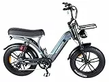 OUXI Q8 E-Bike 20 Zoll Fatbike Elektrofahrrad Pedelec, 250W Motor 60Nm, 48V 15Ah Akku 60-80km, Hydraulische Scheibenbremsen, Vollfederung, Blinker & Frontgepäckträger (Grau)