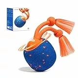 Cheerble Interaktiver Hundeball - Wicked Ball Rolly mit Seil & Bellen, Intelligentes Interaktives Hundespielzeug mit 3 Spielmodi, E-TPU, USB-C aufladbar, Geeignet für kleine bis große Hunde, Blau