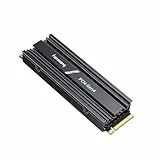 fanxiang NVMe SSD 1TB mit Heatsink, M.2 PCIe Gen4x4 Gaming Solid State Laufwerk mit SLC Cache, 7100MB/s Lesen, 6100 MB/s Schreiben, Interne Festplatte für PC PS5 Laptop Datenübertragung S880E