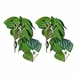 Keenso Künstliche Reptilienpflanze -ähnliche Kunststoffsimulation für Fischbehälter, Verschiedene Reptilien -Home Nester und Aquariendekorationen, die für die Dekoration