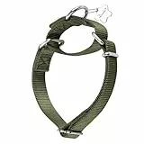 Dazzber Martingal Halsbänder für Hunde, Verstellbar Langlebig Kein Escape Stop Ziehen Hundehalsband Nylon für Große/Mittlere/Kleine Hunde (L(42cm-66cm), Militärgrün)