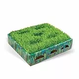 Catstages Grass Patch Hunting Box, Mint Small