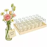 NaDeco Glasflaschen 32 Stück 10,5 x 4,8cm, Deko-Flaschen Set Vasen Tischdeko Fläschen Glasfläschchen Windlichter Glas-Dekoration Minivasen, kleine Gläser zu Weihnachten Hochzeit Geburtstag