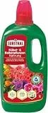 Substral Flüssigdünger für Balkon- & Kübelpflanzen, 1 Liter - Mit Eisen & Humifirst für üppige Blüten