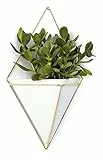 Umbra 470752-524 - Wandgefäß, groß, weiß/Messing