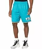 Mitchell & Ness NBA Swingman Shorts 2.0 - Charlotte Hornets, L