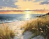 TISHIRON Gemälde von Hand Malen nach Zahlen Erwachsene Malsets für Erwachsene mit Pinseln Sonnenuntergang am Meer Malen nach Zahlen auf Leinwand Acryl Pigment Kunsthandwerk 16x20inch