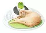 Catit Wellness Center für Katzen, 1 Stück (1er Pack), mehrfarbig