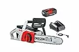AL-KO Akku-Kettensäge Energy Flex CS 4030 Komplett-Set, 30 cm Schienenlänge, Li-Ion Akku 5 Ah/40 V, autom. Kettenschmierung, werkzeuglose Kettenspannung