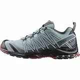 Salomon Xa Pro 3d Gore-tex, Traillaufschuhe Herren, Lead Black Barbados Cherry, 43 1/3 EU