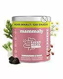 mammaly 9-in-1 Probiotika für Deinen Hund - Lucky Belly Hypoallergen Allergie Fit ohne Huhn 120 Drops (350g) - Bei Magenprobleme & Verdauungsprobleme für Magen-Darm,Verdauungssnacks bei Gras fressen