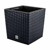10 -Liter -Zeit Pot mit Eimer zu pflanzen in Anthrazitfarbe 22,3 x 22,3 x 22,8 cm.