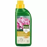 Pokon Spezial-Flüssigdünger für prächtige Blüten, 500ml - Für alle Blühpflanzen, Ideal für Haus und Garten, grün