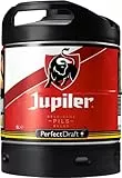 Perfectdraft Fässer - Bier passend für Zapfanlage für Zuhause. Inklusive 5 Euro Pfand (Jupiler)