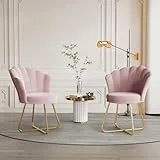 Hawthyhome 2er Set Polstersessel esszimmerstühle，Stuhl schminktisch， Stuhl samt，Blütenblatt-Rückenlehne Lehnstuhl mit Metallbeinen Gold，Bis 350lb belastbar Rosa