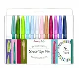 Pentel SES15C-12 Brush Sign Pen, Faserschreiber, pinselähnliche Spitze, 12 Stück, farblich sortiert