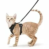 rabbitgoo katzengeschirr mit Leine ausbruchsicher für Katzen Verstellbares Brustgeschirr Reflektierendes ausbruchsicher Softgeschirr mit katzenleine Weich Bequem für Kätzchen, Schwarz, XS