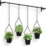 Bomclap Hängeblumentopf, Blumenampel mit 4 Melamin Blumentopf, Wandvase für Wand-und Deckenanbrinung, Moderne Hängend Blumenampel