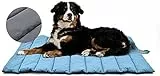 XIAPIA wasserdichte Hundematte für Outdoor, Waschbare Hundematte für Unterwegs, Antistatik, Hygienisch, Faltbares Hundebett, Große Reisedecke für Haustier 110x68 cm (Blau/Grau)
