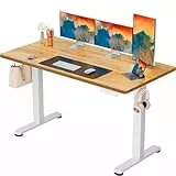 ErGear Elektrisch Höhenverstellbarer Schreibtisch 140 x 70 cm, Schreibtisch Höhenverstellbar mit 4-Gedächtnis-Smart-Pult für Home-Office mit Verbindungsplatte
