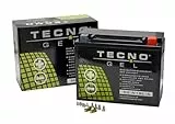 TECNO-GEL Motorrad Qualitäts Batterie Y50-N18L-A, 12V Gel-Batterie 20 Ah (DIN 52016), 205x90x160 mm