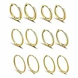 JSDDE 12 Stücke Chirurgenstahl Creolen Ohrringe Set Klappcreolen Fake Plugs Ohrpiercing Helix Knorpel Stab Hoop Ring Ohrstecker Huggie Kreolen Ohrringe 6-16mm (Gold)