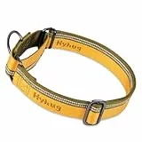 Hyhug Nylon Klassische Halsbänder ，Anti-Flucht Hundehalsband. 3M Reflektierender Streifen, Komfortabel Verstellbar, Sicherer Nachtspaziergang, Hunde-ID-Tag-Montageloch (Kleine, Artisan's Gold)