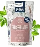 Erdbeerblätter Kräutertee Monte Nativo (250g) – Erdbeerblätter getrocknet – Strawberry tea - Aromatisch und rein und natürlich als loser Blatttee ohne Zusätze – Erfrischende und gesunde Infusion