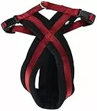 TRIXIE Premium Touren-Geschirr Größe M–L: Brustumfang 50–90 cm/25 mm in rot - sportliches Hundegeschirr mit angenehmer Vliespolsterung, stufenlos verstellbar für mittelgroße Hunde, 204003