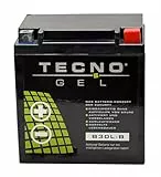 TECNO-GEL Motorrad-Batterie für YB30L-B für Harley Davidson FLHR alle 1340, 1450, 1584, 1690, 1745, 1800, 12V Gel-Batterie 30Ah, 168x132x176 mm