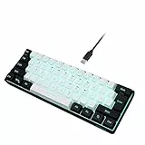 Snpurdiri 60% kabelgebundene Gaming Tastatur, Kompakte RGB beleuchtete Mini Tastatur mit mechanischem Gefühl, Leise Membran Tastatur mit USB C, Tragbare Büro & Reise Tastatur für PC/Mac(schwarz weiß)