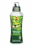 COMPO Grünpflanzen- und Palmendünger für alle Zimmer-, Balkon- und Terrassenpflanzen, Spezial-Flüssigdünger mit extra Kalium und Eisen, 1 Liter