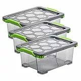 Rotho Evo Total Protection 3er-Set Aufbewahrungsbox 11l mit Deckel, lebensmittelechter Kunststoff (PP) BPA-frei, anthrazit/transparent, (39,3 x 28,3 x 16,0 cm), 3 x 16 cm, 3