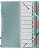 Esselte A4-Projektordner mit 12 Taben, Ordnungsmappe mit Register zur Schreibtischorganisation und Aufbewahrung von Projektunterlagen, Mit Klappen und Gummizug, Colour'Breeze Serie, Mehrfarbig, 626256