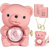 goldmiky Ewige Rosen Bär Geschenkbox mit Halskette, Ewige Rose mit Kette,Rosenbox Geschenk, Rosen Teddybär Geburtstagsgeschenk Halskette Frauen: Muttertag,Valentinstag,Hochzeit,Geburtstag