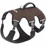 Ferplast Hundegeschirr Kleiner Hund ERGOTREKKING S, Ausbruchsicheres Hundegeschirr, Greyhound, Perfekte Passform, Verstellbares Geschirr für Hunde, Reflektierend, Gepolstert, 6 Verschlüsse