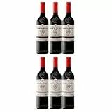 Bodegas Ramón Bilbao Crianza Rotwein trocken Spanien inkl. FeinWert E-Book (6 x 0.75 l)