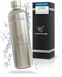Luckymoose Infinity Flasche 1,25L für Aarke Carbonator 3, Philips GoZero & Brita SodaOne Wassersprudler - Spülmaschinenfeste Edelstahlflasche ohne Ablaufdatum (Edelstahl) - Alternative Aarke Flasche