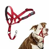 HALTI Kopfgeschirr - Verhindert, dass Ihr Hund an der Leine zieht, Einfache Anpassung, Leicht, mit gepolstertem Nasenriemen, Anti-Zug-Halsband für mittelgroße Hunde (Größe 2, Rot)