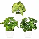 DMJJSD Kunstpflanze Klein 3er Set, Künstliche Pflanzen Wie Echt mit Topf, Topfpflanze Plastik Pflanzen, Kunstpflanzen Fake Plant für Wohnzimmer Zimmer Wanddeko Badezimmer Schlafzimmer Deko