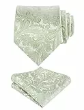 Alizeal Handgefertigte Paisleymuster Floral Krawatte mit Einstecktuch Set, 174-Salbeigrün, Einheitsgröße