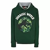 LEGO M12010222 - Hoodie