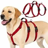 Olcyren Sicherheitsgeschirr Hund, Ausbruchsicheres Anti Zug Hundegeschirr, Panikgeschirr für Hunde, Verstellbare Brustgeschirr mit Gepolstertem Griff for Mittelgroße und Große Hunde (Rot, L)