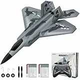HAWK'S WORK 2 Kanal Ferngesteuertes Flugzeug F-22, Bereit zum Fliegen, 2,4 GHz RC Flugzeug Leicht zu Fliegen für Kinder & Anfänger