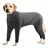 CITÉTOILE Einteiler Erholungsanzug für Hunde, Haustier Langarm Genesungsanzug nach Operationen, Hunde Bauch Wundschutzanzüge, E-Halsband-Alternative, Haustierpyjama für Großer Hunde, Grau, 2XL