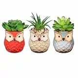 OUNONA 3 STüCKE Künstliche Sukkulenten Pflanzen/Mini kunststoffpflanzen,für Home Bath Büro Regal Dekoration