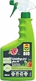 COMPO Schädlings-frei plus AF - Spray gegen Blattläuse, Schildläuse, Wollläuse, Buchsbaumzünsler & Co. - für Zierpflanzen und Kernobst - 500 ml - anwendungsfertiges Insektizid