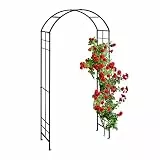 Relaxdays Rosenbogen Metall, Torbogen Garten, HxBxT: 224 x 110 x 41 cm, Stabiler Rankbogen für Kletterpflanzen, schwarz