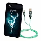 WONDEE Harry Potter Powerbank 10.000 mAh LED Patronus-Effekt + Magisches Lichtkabel – Harry Potter Gadgets, tragbares Ladegerät 10.000 und Lichtkabel